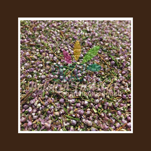 Bruyère fleur - Herbes