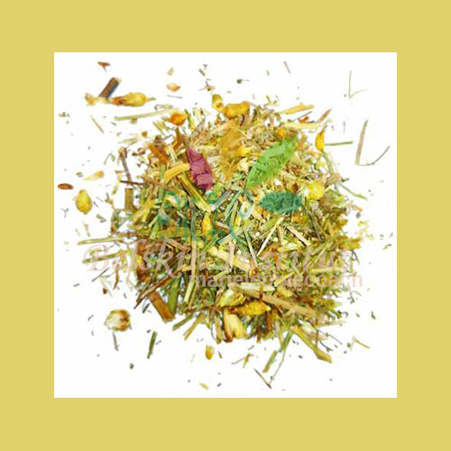 Centaurée rude - Herbes