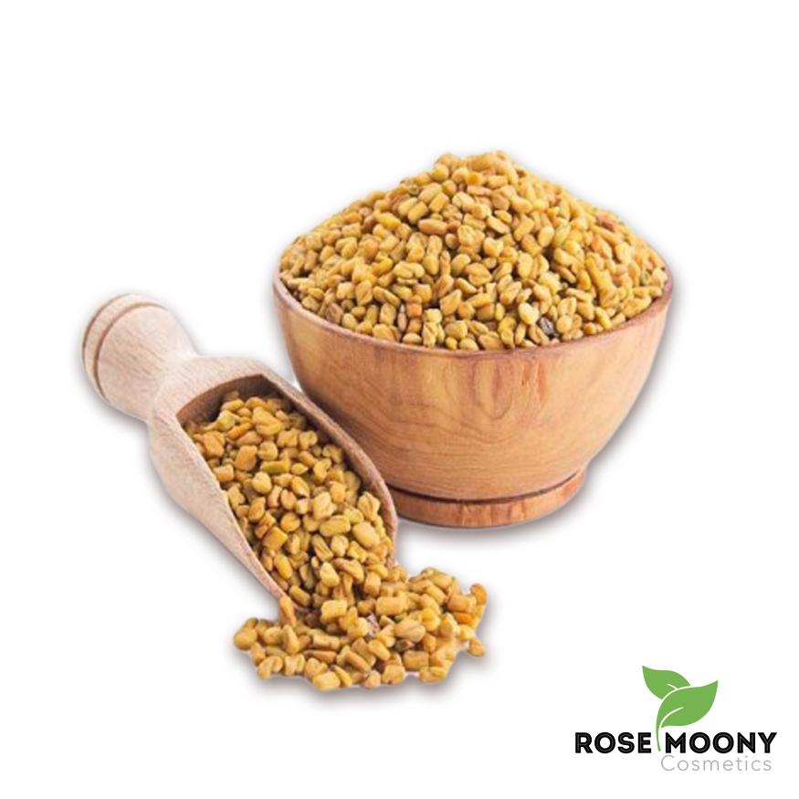 Fenugrec Graines - Herbes