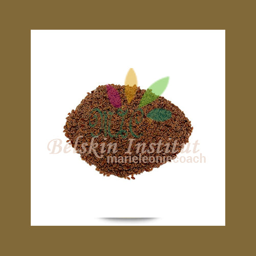 Psyllium grains - HERBES