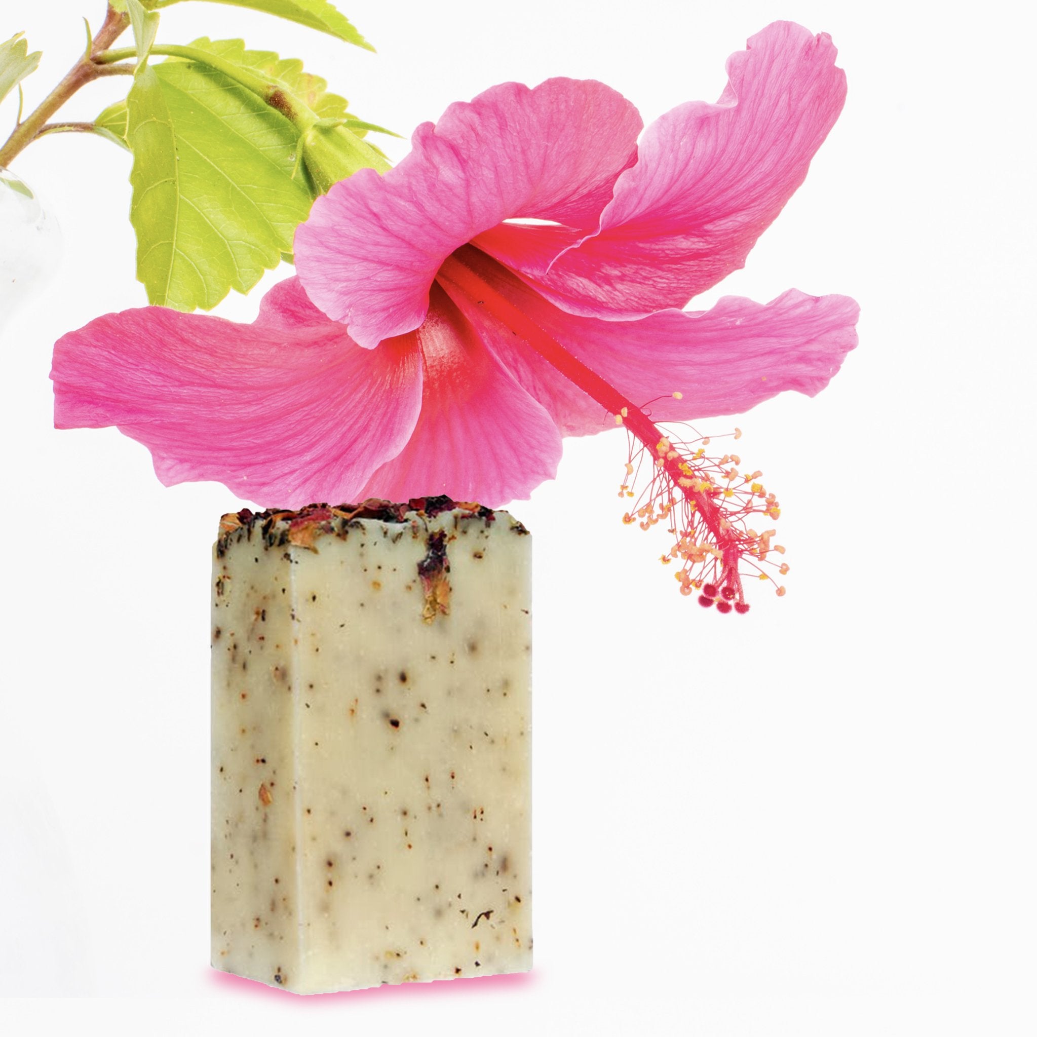 Savon Hibiscus