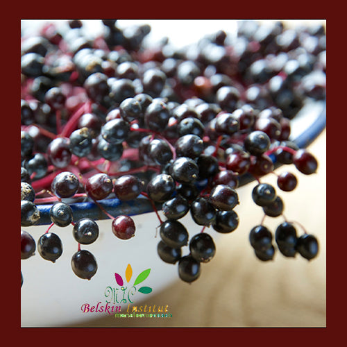 Sureau Baies Séchées - Herbes